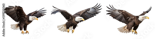 Bald Eagle Flying Set Isolated on Transparent Background - Generative AI 