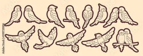 Parrot tropical doodle sticker set. Summer wild exotic sitting and flying bird collection. Wildlife jungle Hawaiian cute parrots, funny pretty parakeet character hand drawn outline vector illustration