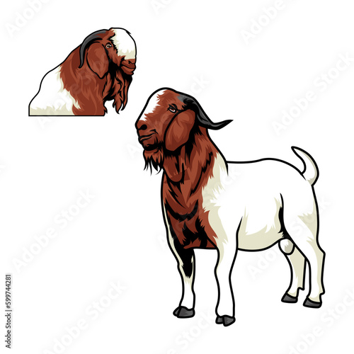 Farming Today Boer Goat Buck Vector Illustration Isolated Object Stock Vector