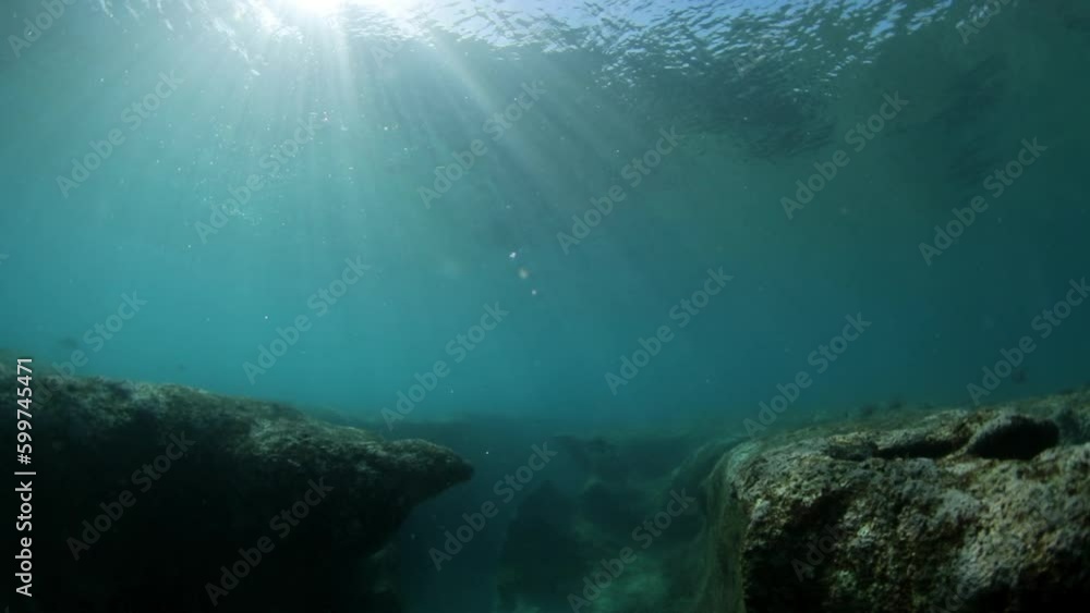 Slow Motion Shot Of Small Fish Swimming Over Rocks Underwater - Oahu, Hawaii Slow Motion Shot Of Small Fish Swimming Over Rocks Underwater - Oahu, Hawaii