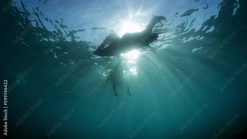 Slow Motion Shot Of People Swimming With Surfboards Seen From Sea - Oahu, Hawaii Slow Motion Shot Of People Swimming With Surfboards Seen From Sea - Oahu, Hawaii