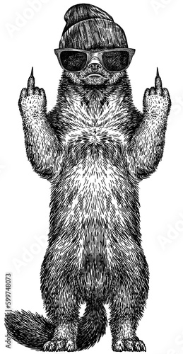 Fotografie Vintage engraving isolated honey badger set glasses dressed fashion illustration ink costume cut sketch