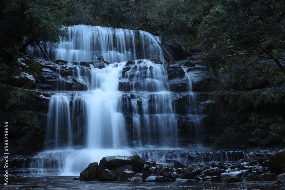 Obraz premium Waterfalls of Tasmania, Australia, Primarily Liffey Falls