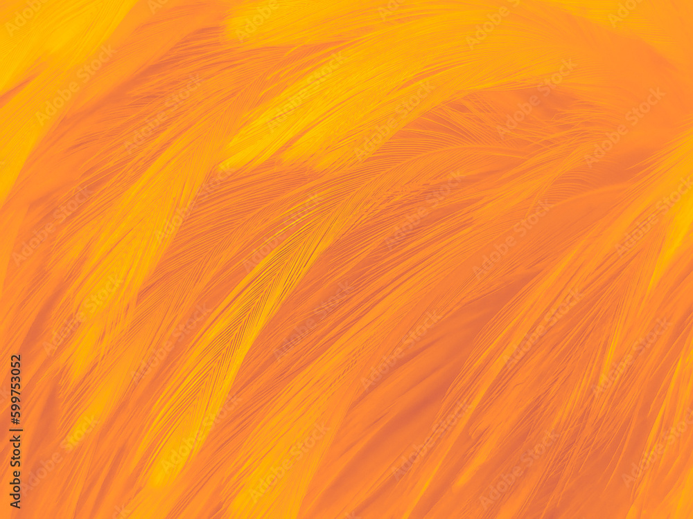 Beautiful abstract white and brown feathers on white background and