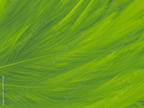 Beautiful abstract green feathers on black background, blue feather texture on yellow pattern, green background, yellow feather wallpaper, love theme, valentines day, green gradient texture