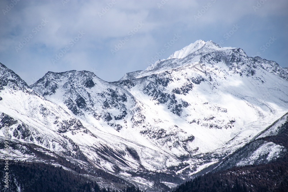 Fototapeta premium snow covered mountains
