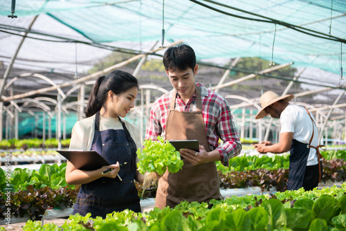 Asian farmer using hand holding tablet and organic vegetables hydroponic in greenhouse plantation. Female hydroponic salad vegetable garden owner working.