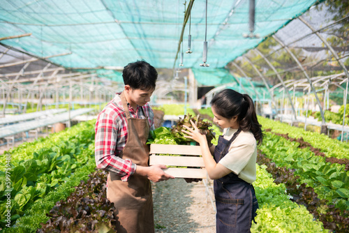 Asian farmer using hand holding tablet and organic vegetables hydroponic in greenhouse plantation. Female hydroponic salad vegetable garden owner working.