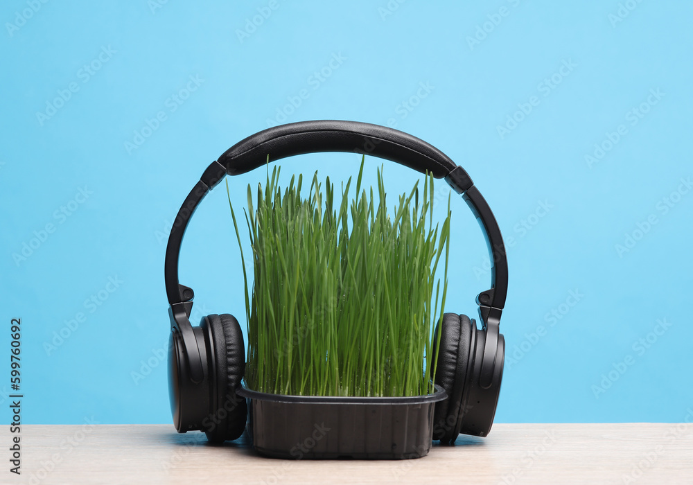 Stereo headphones and Green grass in pot on table, blue background. The effect of music on plant growth Stereo headphones and Green grass in pot on table, blue background. The effect of music on plant growth