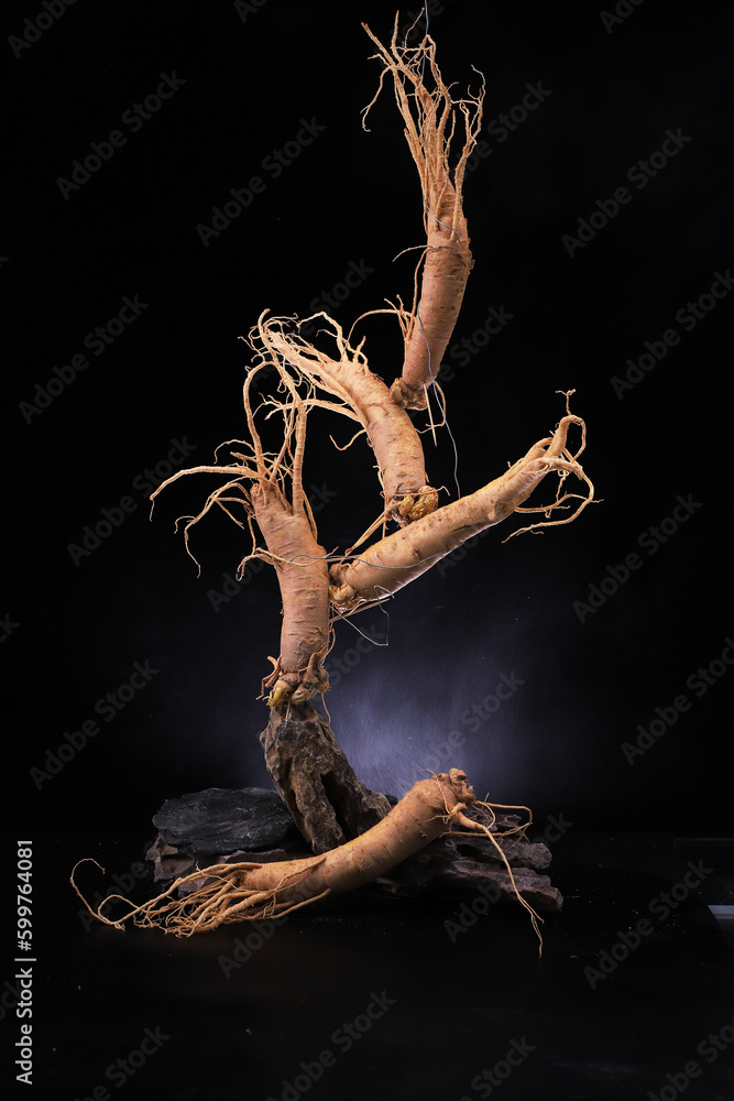 Fototapeta premium ginseng isolated on black background