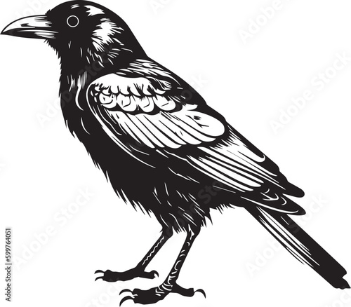 Crow raven bird vector illustration, SVG