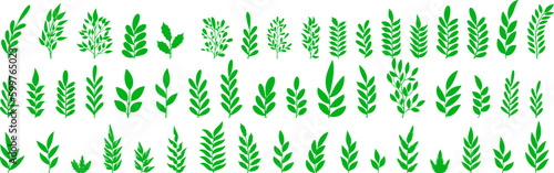 Set of green leaf icons. Leaves of trees and plants.Green color. Leafs green color icon logo. Leaves on white background. Ecology. Vector illustration