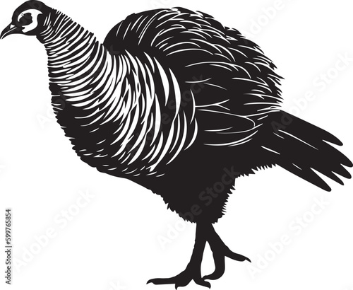 Turkey Farm animal vector illustration, SVG 