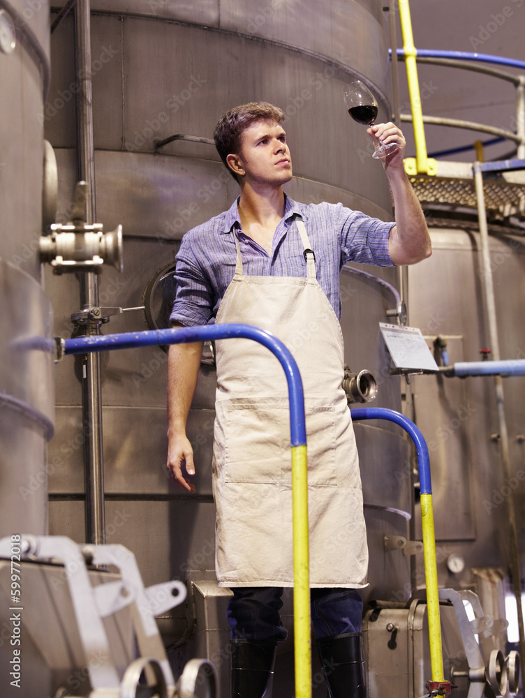 Man, wine manufacturing at distillery and alcohol making process with inspection of drink in glass and winery. Young male winemaker, fermentation of alcoholic beverage and person check product Man, wine manufacturing at distillery and alcohol making process with inspection of drink in glass and winery. Young male winemaker, fermentation of alcoholic beverage and person check product