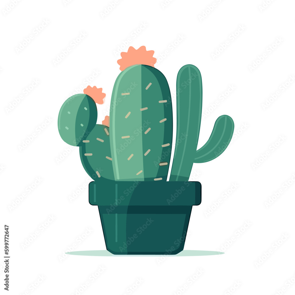 cactus in a pot cactus in a pot