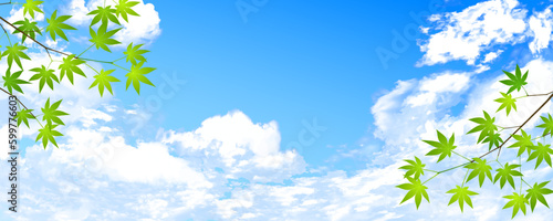 雲が美しい夏の空と青もみじの背景イラスト