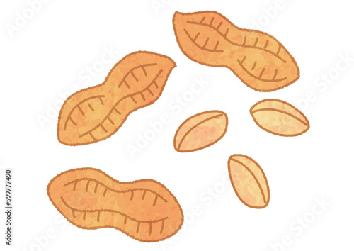 殻のついた落花生と殻を剥いた落花生のベクターイラスト	