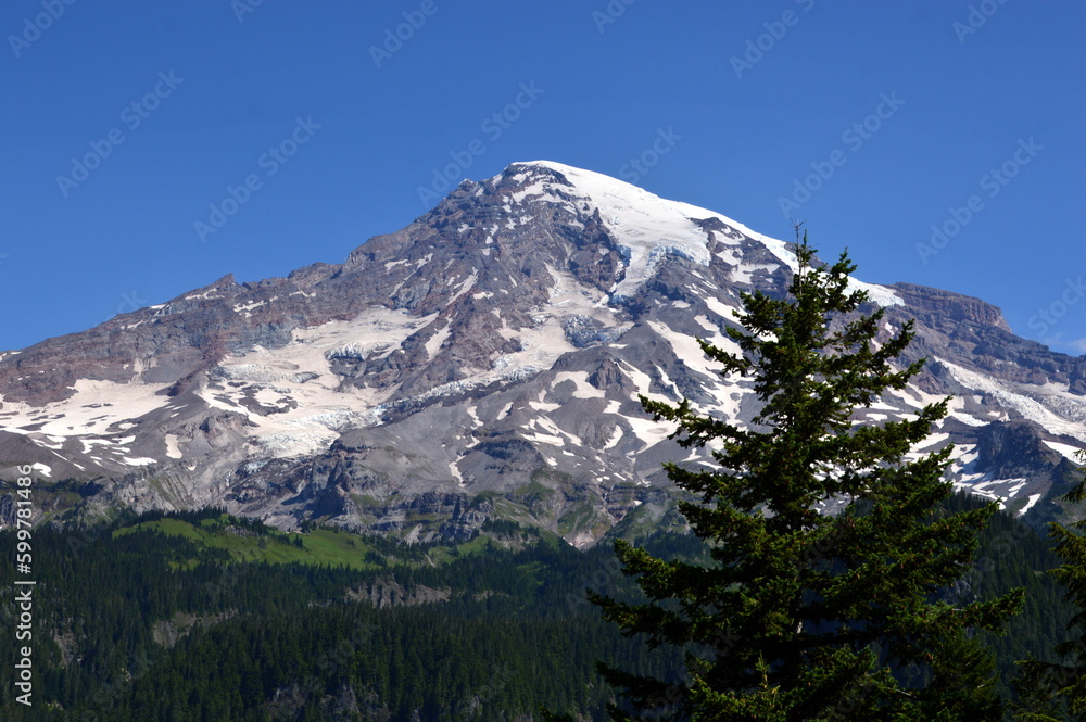 Panorama of Mount Rainier National Park, Washington