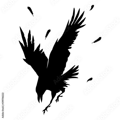 crow vector