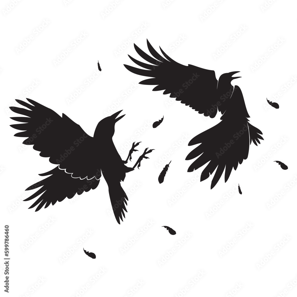 Obraz premium crow fight vector illustration