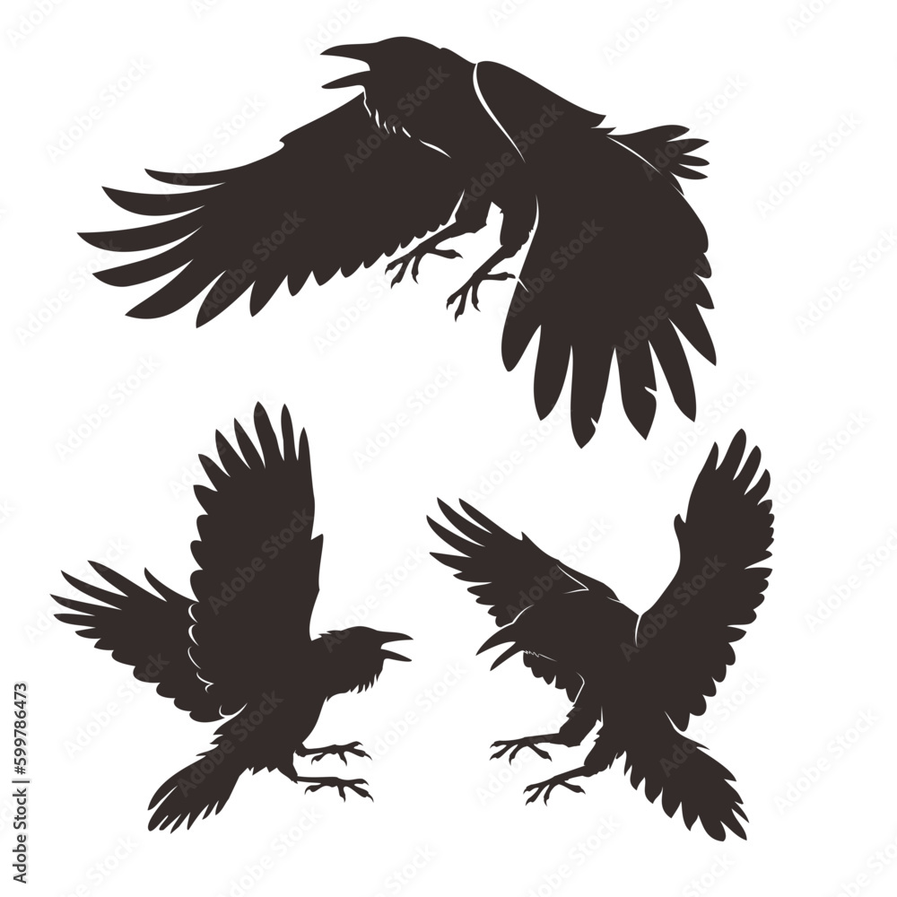 crow vector set crow vector set