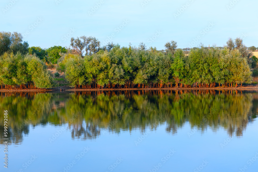 Reflection of Trees on River . Rivers Scenery with Growing Trees on the Shore Reflection of Trees on River . Rivers Scenery with Growing Trees on the Shore