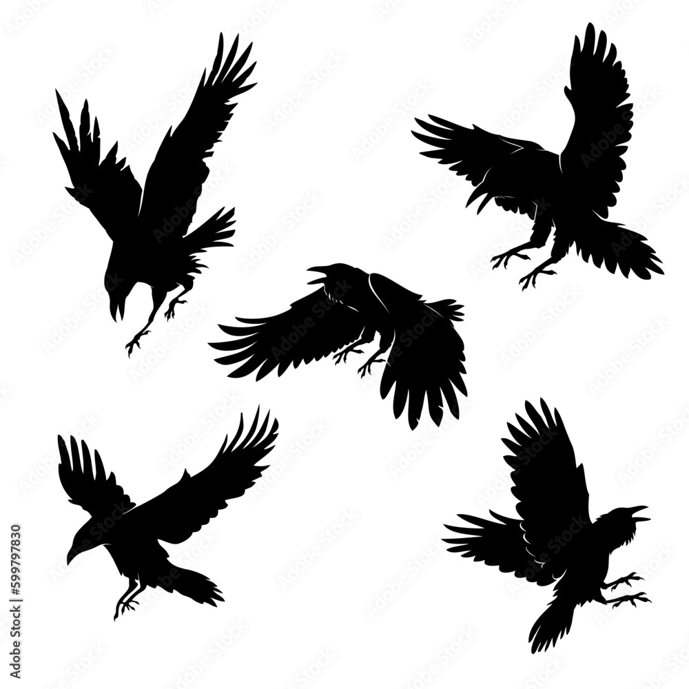 crow silhouette illustration crow silhouette illustration