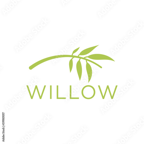 Willow logo for nature and environmental business company