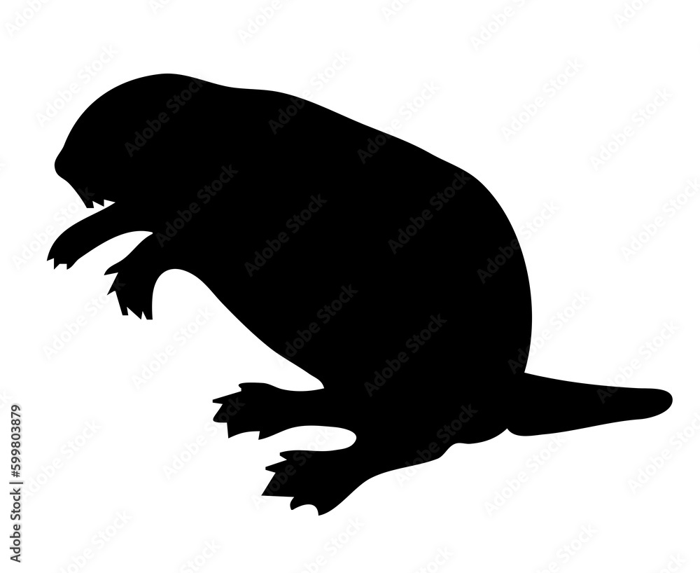 Illustration of a beaver Illustration of a beaver