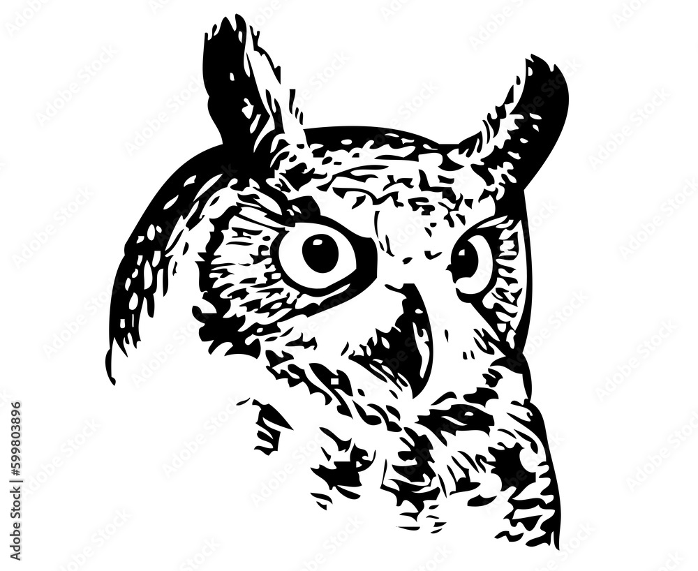 Owl bird head 