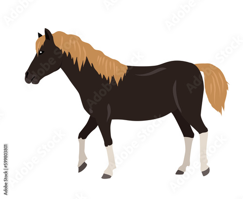 Horse vector illustration in flat design 