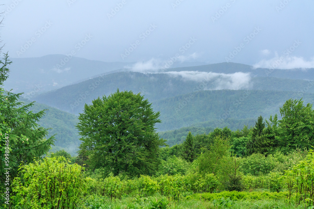 Panorama of the peaks of Beskid Mały (Poland) from the vantage point on the yellow tourist trail from Ponikiew to Groń Jana Pawła II