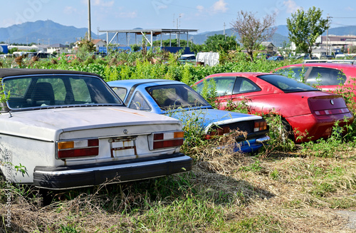 A used car abandoned in the meadow.