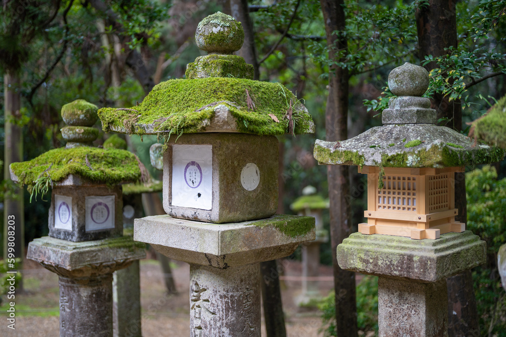 old stone lanterns with moss covered outside Kasuga Taisha Shrine in Nara, Japan. The symbol of popular Shinto Temple of Nara is 3000 bronze and stone lanterns that surround it. old stone lanterns with moss covered outside Kasuga Taisha Shrine in Nara, Japan. The symbol of popular Shinto Temple of Nara is 3000 bronze and stone lanterns that surround it.