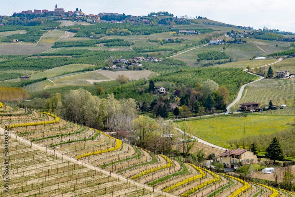 Panorami delle Langhe (Grinzane Cavour, Piemonte)