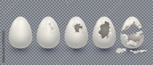 3d broken egg, chicken shell. Isolated break or open eggshell animal bird peel, empty and fragile easter set. Cooking ingredient. Isolated elements. Vector exact realistic illustration