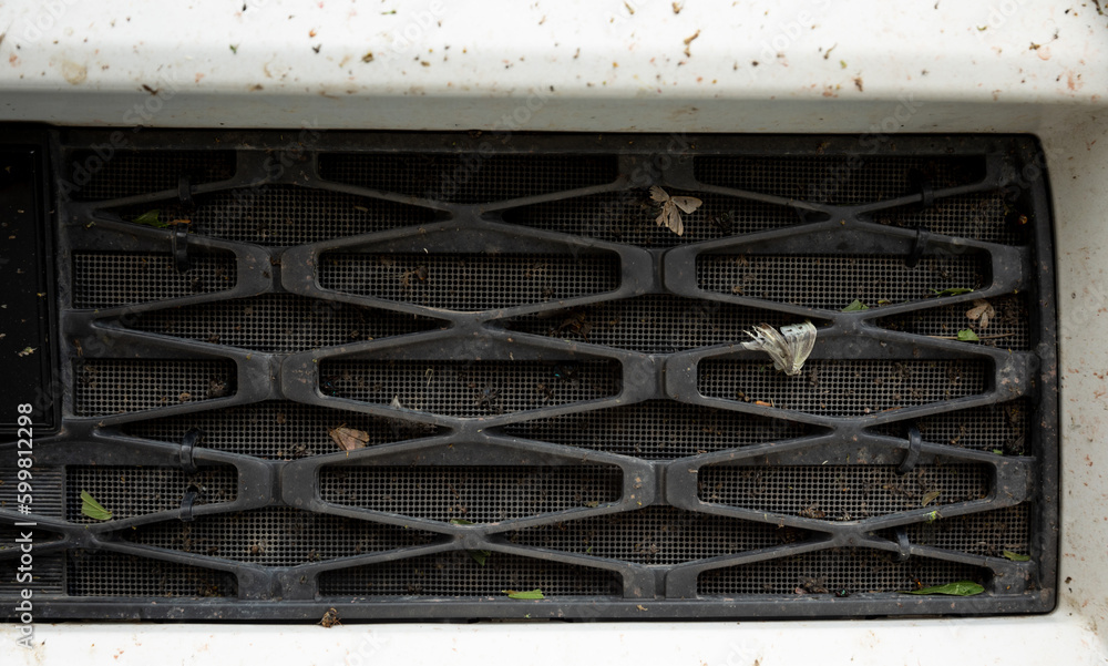 Bugs and flies crashed and stuck in grille of car radiator Bugs and flies crashed and stuck in grille of car radiator