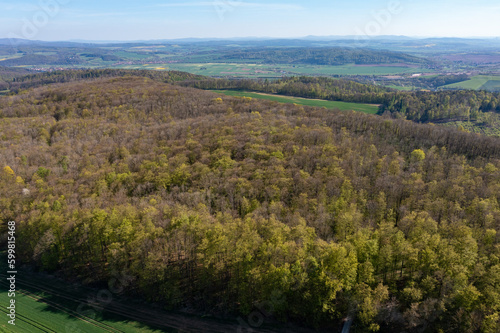 View over a Forest between Hesse and Thuringia