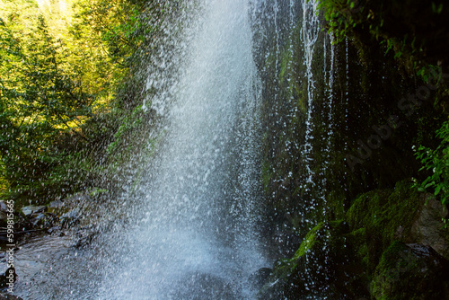 Wallpaper Mural waterfall in a tropical paradise, water stream falls from above from a rock on stones Torontodigital.ca