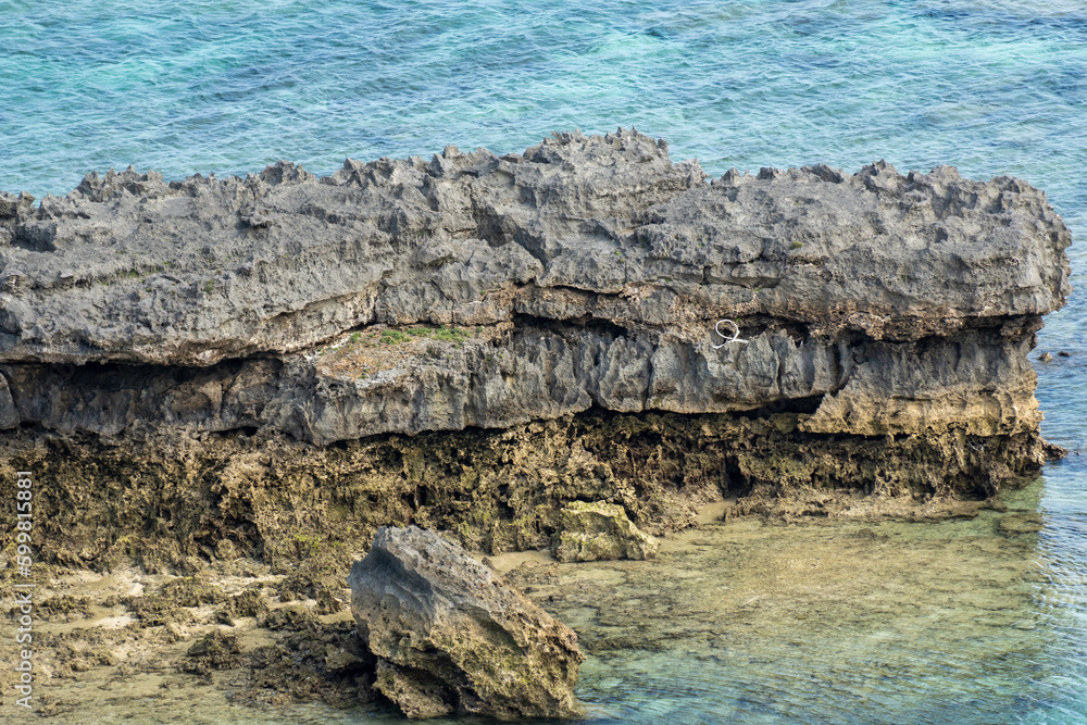 Ryukyu limestone in Tokashiki island, Okinawa