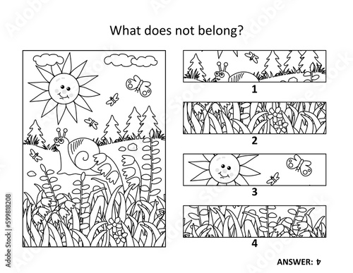Sun, snail, butterflies and wildflowers. Visual puzzle or picture riddle: What does not belong? Or, spot the odd one out. Answer included.
