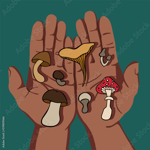 A set of different mushrooms on human palms. Selection of mushrooms. Edible and poisonous mushrooms. Pick up mushrooms. Mushroom season. Mushroom poisoning.
