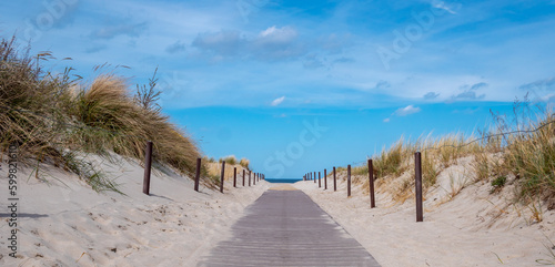 panorama sand dunes on the beach baltic sea © Animaflora PicsStock