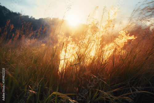 On a hot summer day, dry grass is burning on the field. Burning field with dry grass. Generative AI © artem
