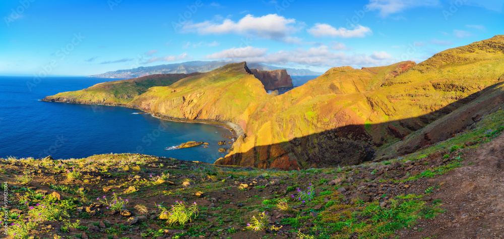 Ponta de São Lourenço peninsula with beautiful flowers and grass in the foreground in Madeira, Portugal.