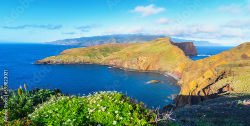 View of the rocks in Ponta de Sao Lourenco  Madeira islands  Portugal. Beautiful scenic view of the green landscape and the atlantic ocean with flowers in the foreground.