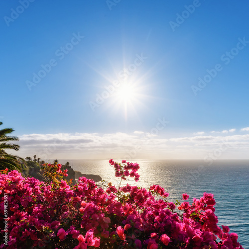 Scenic view of the Atlantic Ocean from a villa in Caniço with flowers, sun and clear blue skies. Madeira Island, Portugal