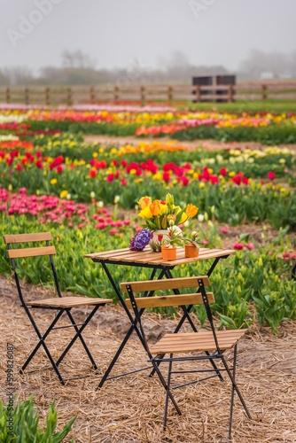 A table and two chairs standing in the middle of a tulip field. There are decorative flowers on the table.