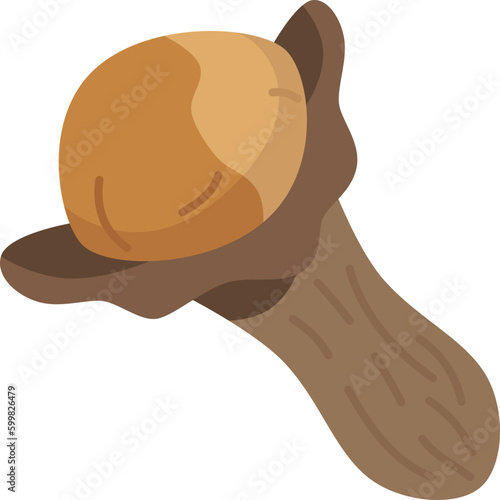 cloves  icon