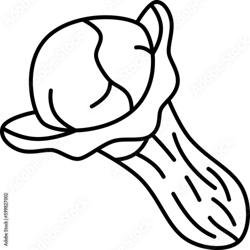 cloves  icon